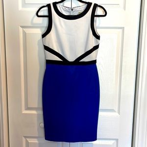 Calvin Klein Color Block Dress
